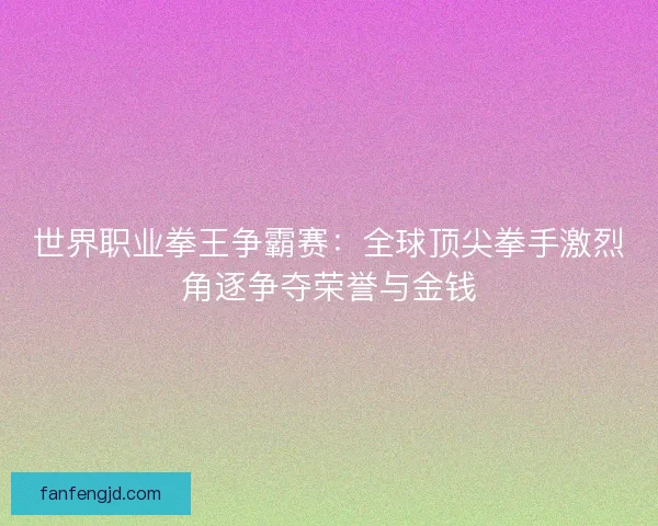 世界职业拳王争霸赛：全球顶尖拳手激烈角逐争夺荣誉与金钱